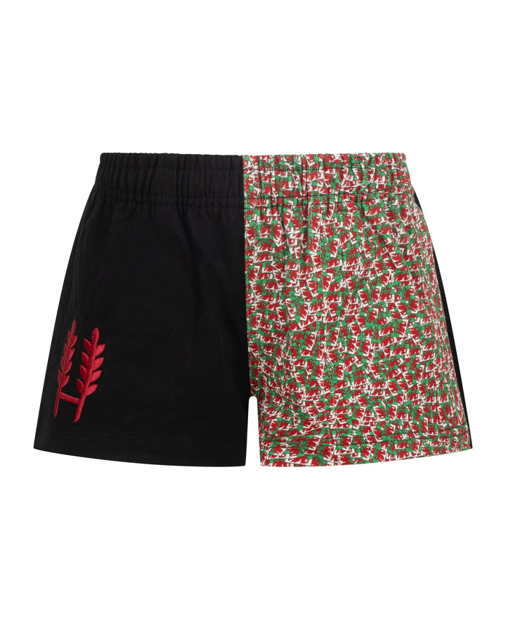 Kids Welsh Shorts